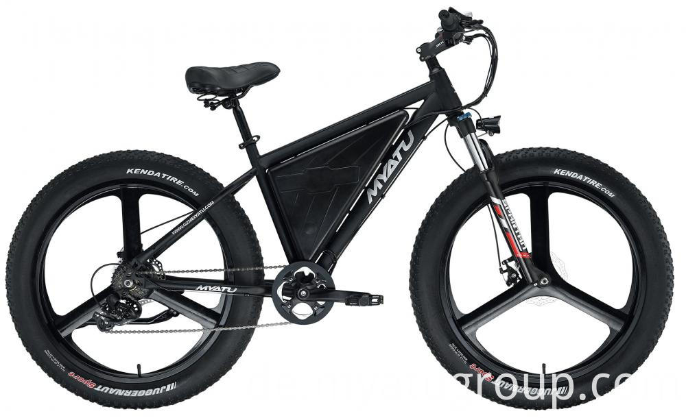 26 Zoll Fat Tire E-Bike 26inch Fat Tire Electric Bike
